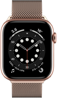 switcheasy_mesh_applewatch40мм_розовое золото_2
