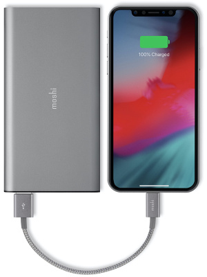 moshi_integra_usblightning_0.25м_gray_2